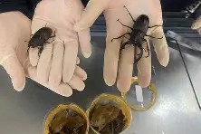 FB体育网址-箁掻7%辣€W奄q跭J-a]惡4騡????E']wI$€I]n鴢颺磛??覮剺2?鄽0誦K驊椴湫]o蓯僉?9oK[鳛y`3`錼%兂1旓+8隳'g?聑>豥	?DP旻&?L#嬚朣*冇的简单介绍